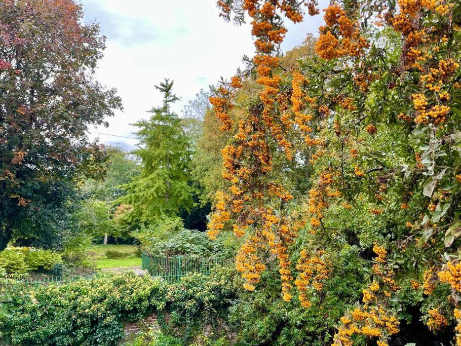 Vernon Place Town Centre, Vernon Cottage 3-Bed With Parking, 1A Vernon Court 2-Bed With Parking, 1B Studio No Parking, Off The High Street Next To Sandford Park Cheltenham Bagian luar foto