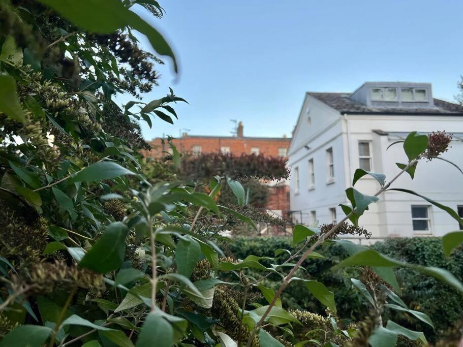 Vernon Place Town Centre, Vernon Cottage 3-Bed With Parking, 1A Vernon Court 2-Bed With Parking, 1B Studio No Parking, Off The High Street Next To Sandford Park Cheltenham Bagian luar foto